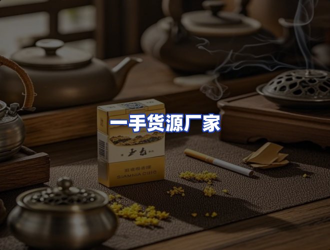 专业团队